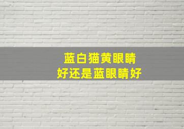 蓝白猫黄眼睛好还是蓝眼睛好