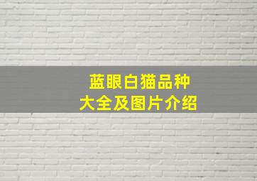 蓝眼白猫品种大全及图片介绍