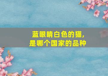 蓝眼睛白色的猫,是哪个国家的品种