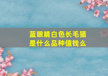 蓝眼睛白色长毛猫是什么品种值钱么