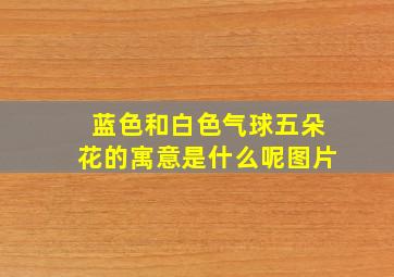 蓝色和白色气球五朵花的寓意是什么呢图片