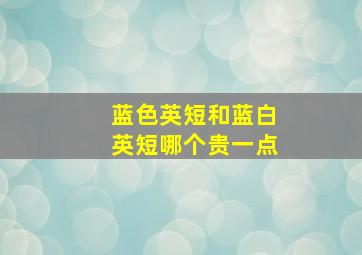 蓝色英短和蓝白英短哪个贵一点