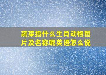 蔬菜指什么生肖动物图片及名称呢英语怎么说