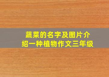 蔬菜的名字及图片介绍一种植物作文三年级