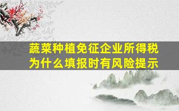 蔬菜种植免征企业所得税为什么填报时有风险提示