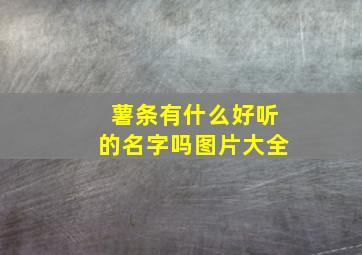 薯条有什么好听的名字吗图片大全