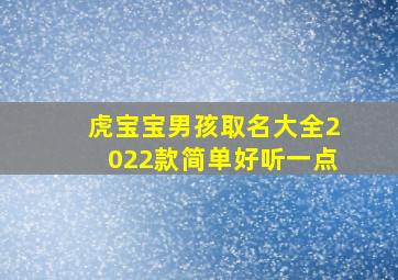 虎宝宝男孩取名大全2022款简单好听一点