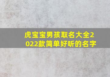 虎宝宝男孩取名大全2022款简单好听的名字