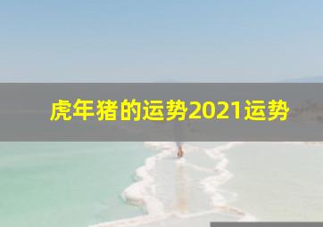 虎年猪的运势2021运势