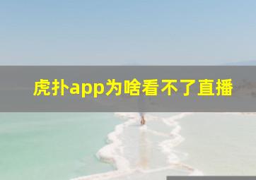 虎扑app为啥看不了直播