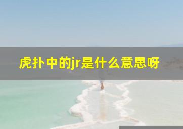 虎扑中的jr是什么意思呀