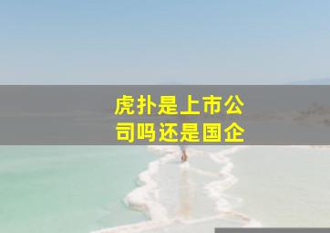 虎扑是上市公司吗还是国企