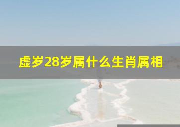 虚岁28岁属什么生肖属相