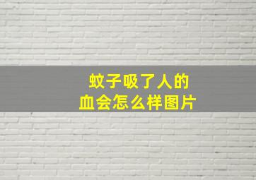 蚊子吸了人的血会怎么样图片