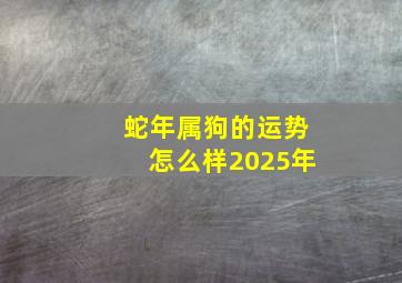 蛇年属狗的运势怎么样2025年