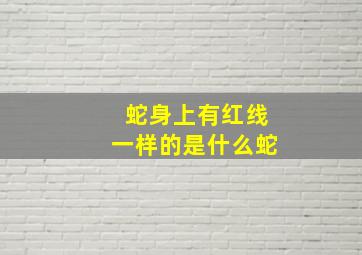 蛇身上有红线一样的是什么蛇