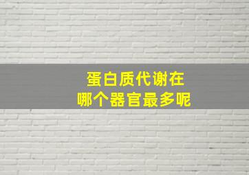 蛋白质代谢在哪个器官最多呢