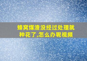 蜂窝煤渣没经过处理就种花了,怎么办呢视频