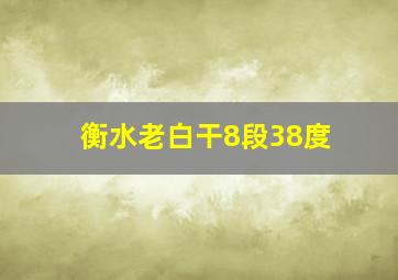 衡水老白干8段38度