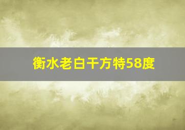 衡水老白干方特58度