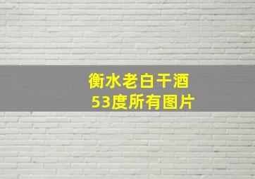 衡水老白干酒53度所有图片