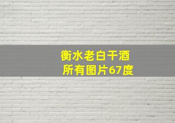 衡水老白干酒所有图片67度