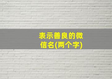 表示善良的微信名(两个字)