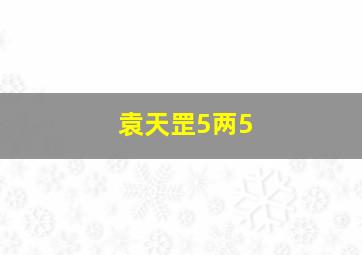 袁天罡5两5