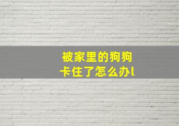 被家里的狗狗卡住了怎么办l