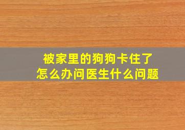 被家里的狗狗卡住了怎么办问医生什么问题