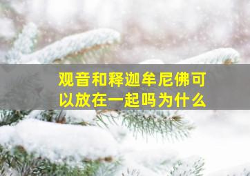 观音和释迦牟尼佛可以放在一起吗为什么