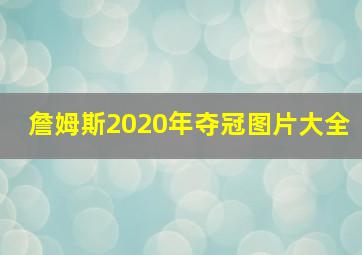 詹姆斯2020年夺冠图片大全