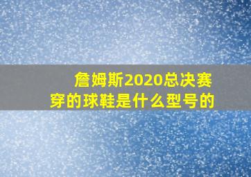 詹姆斯2020总决赛穿的球鞋是什么型号的