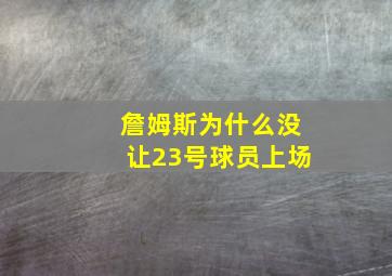 詹姆斯为什么没让23号球员上场