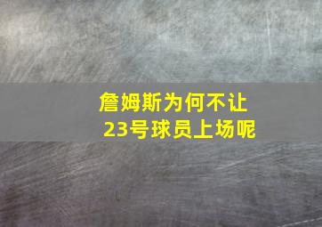 詹姆斯为何不让23号球员上场呢