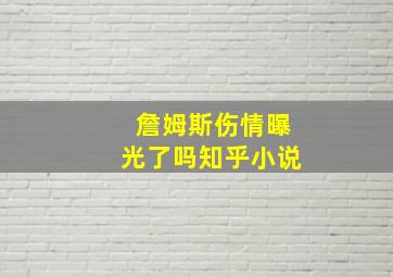 詹姆斯伤情曝光了吗知乎小说