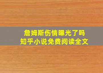 詹姆斯伤情曝光了吗知乎小说免费阅读全文