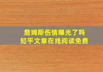 詹姆斯伤情曝光了吗知乎文章在线阅读免费