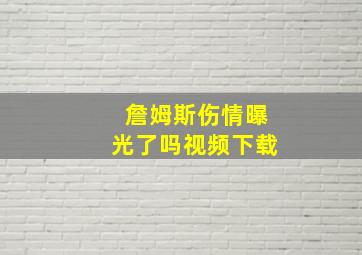 詹姆斯伤情曝光了吗视频下载