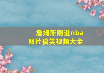 詹姆斯刚进nba图片搞笑视频大全