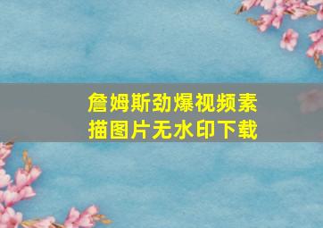 詹姆斯劲爆视频素描图片无水印下载