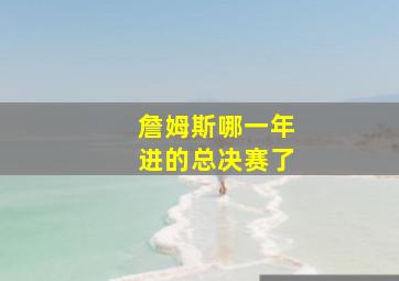 詹姆斯哪一年进的总决赛了