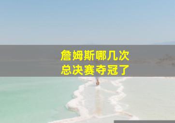 詹姆斯哪几次总决赛夺冠了