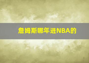 詹姆斯哪年进NBA的