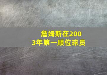 詹姆斯在2003年第一顺位球员