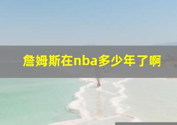 詹姆斯在nba多少年了啊