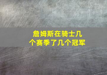 詹姆斯在骑士几个赛季了几个冠军