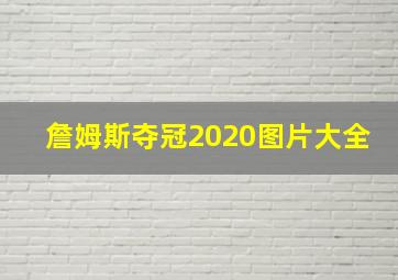 詹姆斯夺冠2020图片大全