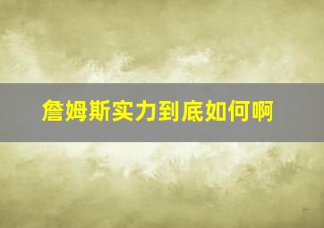 詹姆斯实力到底如何啊