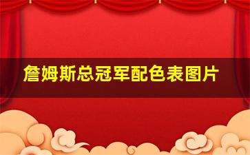 詹姆斯总冠军配色表图片